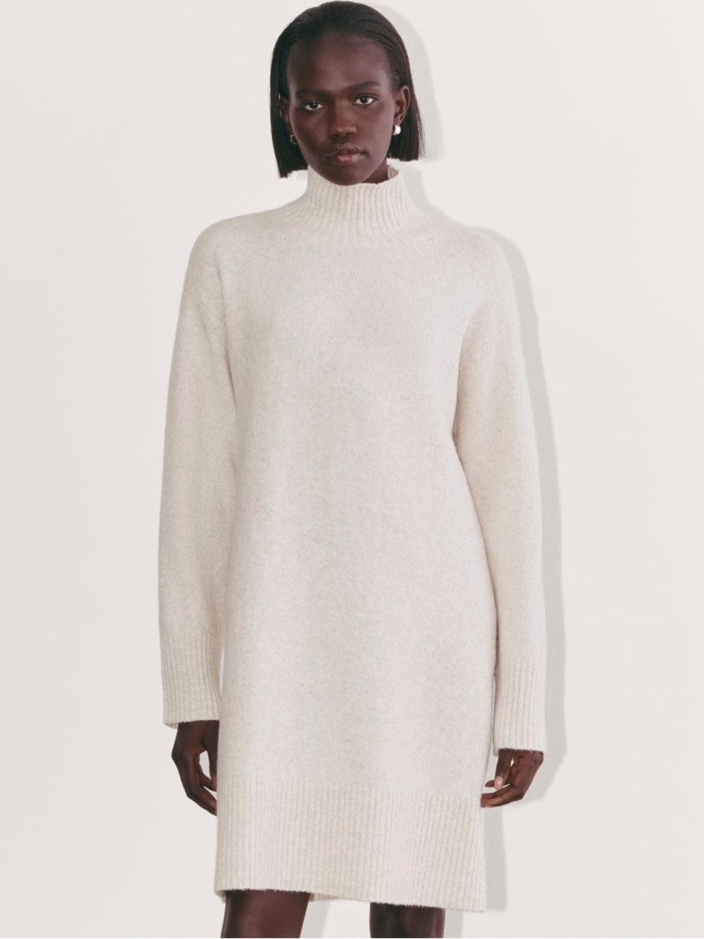 Everlane Wool Blend Turtleneck Sweater Dress Large Oatmeal Oversized